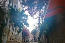 Half Day Istanbul Highlights Tour By Art Historian