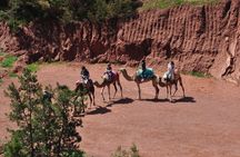 Stargazing and camel ride in the agafay desert