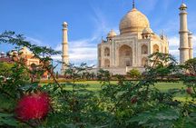 Sunrise Taj Mahal Private Tour From Delhi