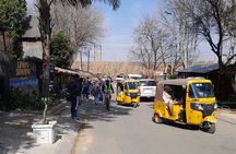 Bicycle or Tuk Tuk Soweto Guided Experience 