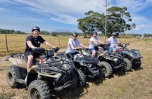 Quad Bike Fun Ride in Ostrich Farm Cape Town
