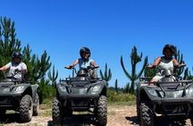 Quad Bike Fun Ride in Ostrich Farm Cape Town
