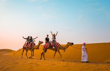 Dubai: Desert evening Safari Tour with BBQ Dinner Live Shows