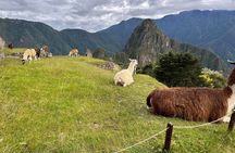 Short Inca Trail to Machu Picchu 2 Days and 1 Night 