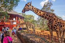 Discover Nairobi-Museum, Giraffe Centre, Bomas & Major Landmarks