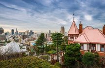 Kobe : Private Custom Tour (Excursion to Osaka / Kyoto possible)