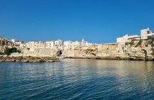 Shared boat tour in Vieste with bathing stop