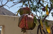 "Santorinian Agriculture, Food, Wine, Beer, and Spirits"