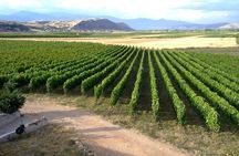 Private Tour in Lake and Gastronomic Delight with Xinomavro Wine