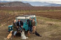 Private Tour in Lake and Gastronomic Delight with Xinomavro Wine