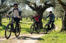 E-Bike Kalamata Olive Routes