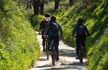 E-Bike Kalamata Olive Routes