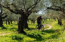 E-Bike Kalamata Olive Routes