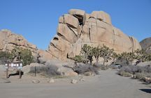 2-days Private Tour to Joshua Tree National Park from Los Angeles