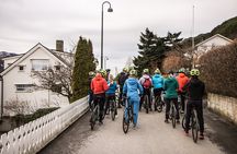 E-bike And Hiking Tour In Ålesund