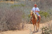 Combined ATV and Horseback Ride/Tequila Tasting