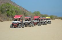 Desert and Beach UTV Adventure with Tequila Tasting