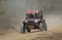 Desert and Beach UTV Adventure with Tequila Tasting