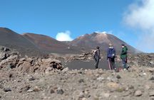 Etna Trekking Tour