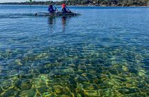 Clear Kayak Ecotour Destin Ft. Walton Beach