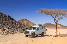 Jeep Safari Adventure Desert With Dinner And Show In Marsa Alam