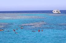 Snorkeling Day Trip With Dugong And Turtles Marsa Mubarak By Boat