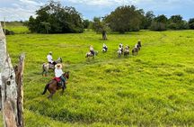 1 Day Horseback Riding at a Real Ranch from Medellin