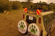 3 Days 2 Nights Masai Mara Safari staying inside the park