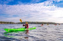 Sea Kayaking Tour 3 to 6 hours In Turku Archipelago Sea Finland