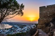 Private Excursion to Nabeul and its Suburbs 
