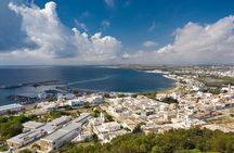 Private Excursion to Nabeul and its Suburbs 