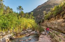 from Agadir : paradise valley from 8 h 30 to 13 h 30