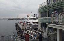 Robben Island tour, Tickets included with Hotel Pickup 