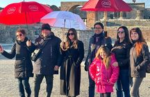 Pompeii Guided Tour and Wine Tasting from Positano