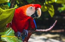 Eco Plan National Aviary and Lunch in Playa Mambo Beach Barú