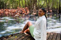 Eco Plan National Aviary and Lunch in Playa Mambo Beach Barú