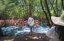 Eco Plan National Aviary and Lunch in Playa Mambo Beach Barú