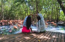 Eco Plan National Aviary and Lunch in Playa Mambo Beach Barú