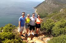 Penguins Cape of Good Hope, Cape Point Private Tour