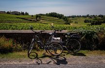 Saint Emilion Half Day Ebike and Wine Tour with Picnic.