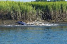 Morning Beaufort River Tour