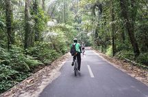 Cycling with Holy Water Blessing Tour ( Manual Bike )