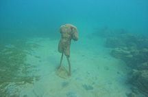 Snorkel with Turtle in San Juan/GoPro4K Photos & Videos Included
