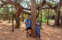 The Best of Pondicherry: A Private Sightseeing Tour