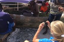 Full Day Private Tour in Dar es Salaam City