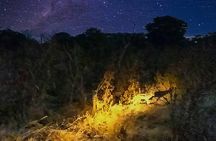 2 Hour Stargazing Tour in Victoria Falls NP Area in 4x4