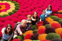 Incense Village - Ninh Binh Gateway - Group of 09 Guided Tour