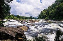 Day Trip to Athirappilly Water Falls by Kochi Taxi