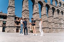 Segovia & Ribera del Duero Winery with Wine Tasting from Madrid