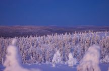 Private Snowshoe or Ski Adventure in Lapland
